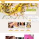 Capture de a-lorigine-concept.com