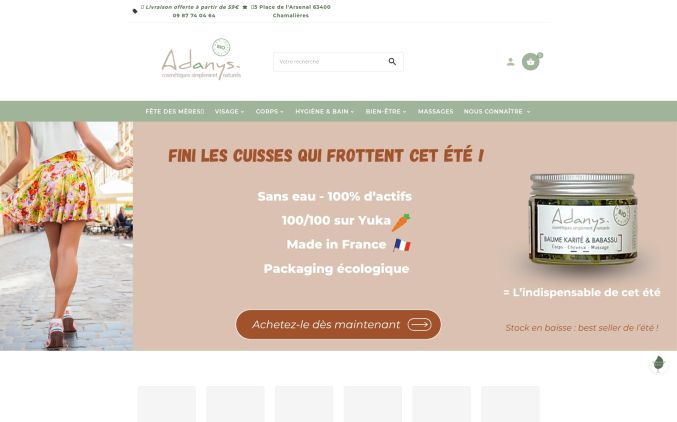 Capture de adanys.fr