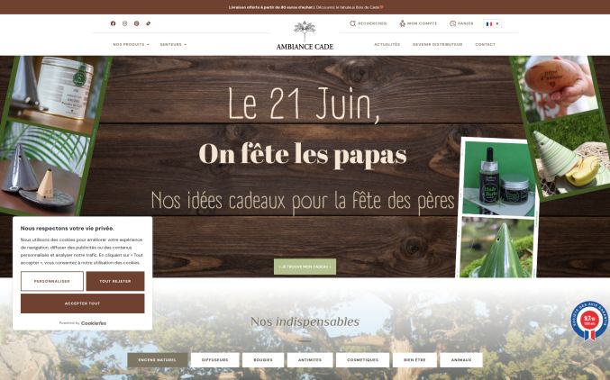 Capture de ambiancecade.com