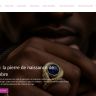 Capture de amejewellery.com