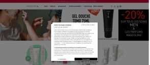 Capture de annayake.com