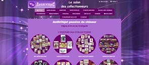 Capture de antikobjet.fr