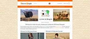 Capture de artisansmongols.fr