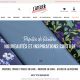 Capture de atelierdelacreation.com