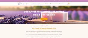 Capture de ausavondor.com