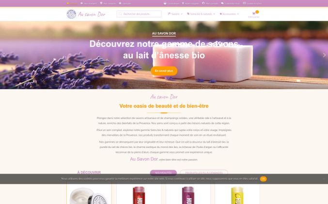 Capture de ausavondor.com
