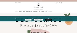 Capture de boutiquezerodechet.com