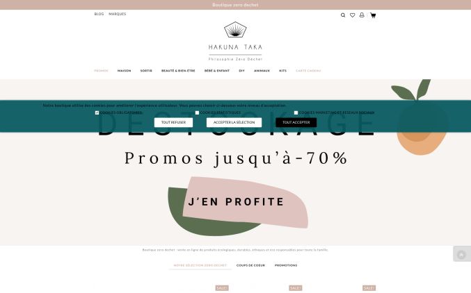 Capture de boutiquezerodechet.com