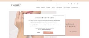 Capture de catteau-joaillier.com