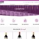 Capture de champvin.com