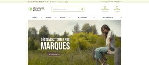 Capture de chaussures-ecolo.com