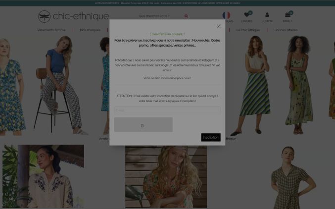 Capture de chic-ethnique.com