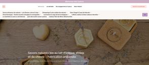 Capture de cyaness.com