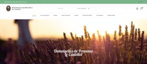 Capture de demoisellesdeprovence-lecastellet.fr