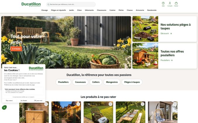 Capture de ducatillon.com