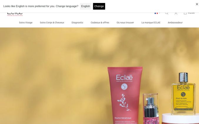 Capture de eclae.com