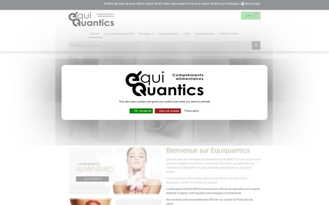 Capture de equiquantics.com