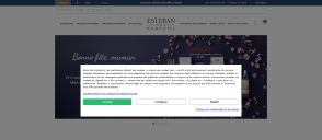 Capture de esteban.fr
