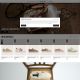 Capture de goldengoose.com