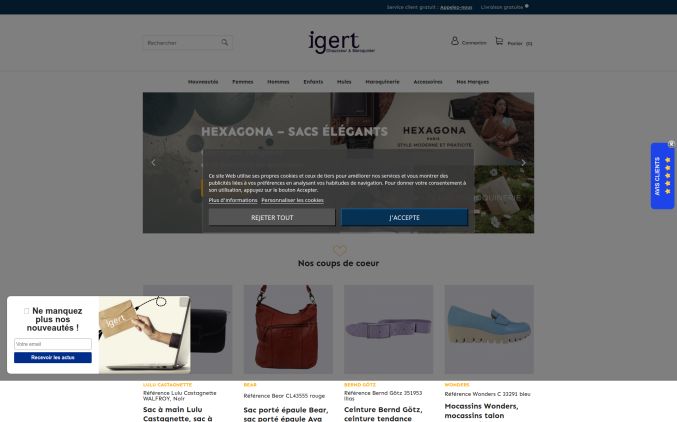 Capture de igert.fr