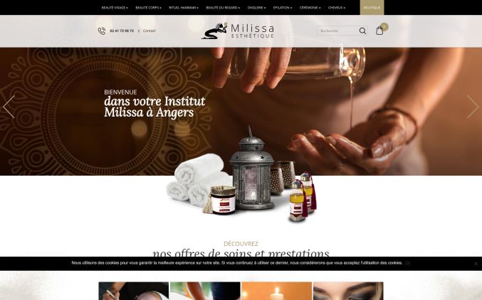 Capture de institut-milissa.fr