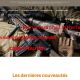 Capture de inthetarget.com