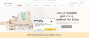 Capture de kazidomi.com
