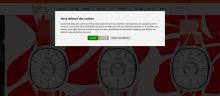 Capture de kelton.fr