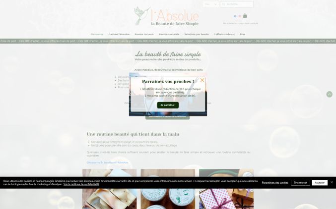 Capture de l-absolue.fr