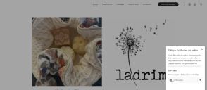 Capture de ladrimfamily.com