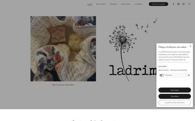 Capture de ladrimfamily.com