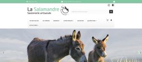 Capture de lasalamandre.fr
