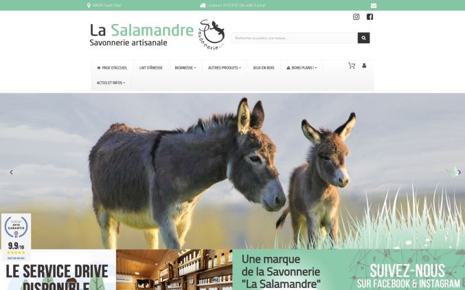 Capture de lasalamandre.fr