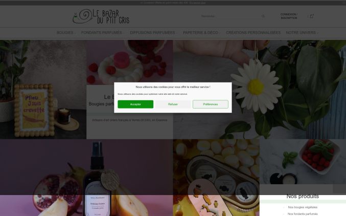 Capture de lebazarduptitgris.com
