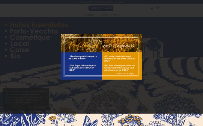 Capture de lessimples.com