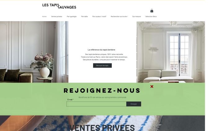 Capture de lestapissauvages.com