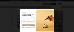Capture de lestylographe.com
