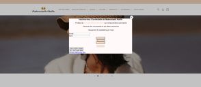 Capture de mademoizelleabeille.com