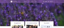 Capture de mas-provence.fr