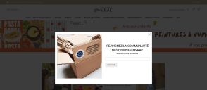 Capture de mescoursesenvrac.com