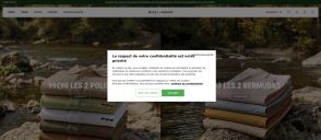 Capture de mise-au-green.com