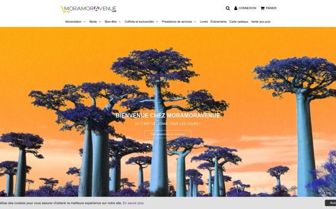 Capture de moramoravenue.com