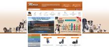 Capture de morinfrance.com