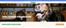 Capture de muzon.fr