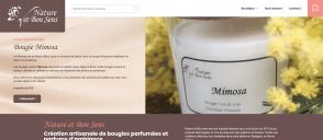 Capture de natureetbonsens.com