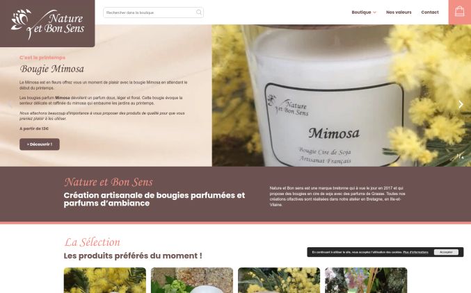 Capture de natureetbonsens.com