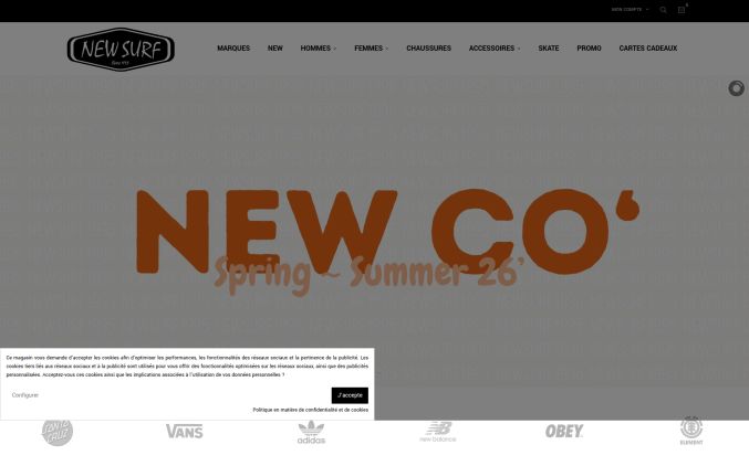 Capture de newsurf-dinan.fr
