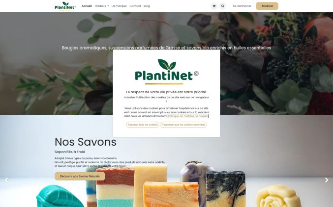 Capture de plantinet.com