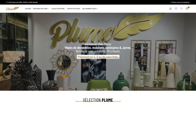 Capture de plume-deco.com