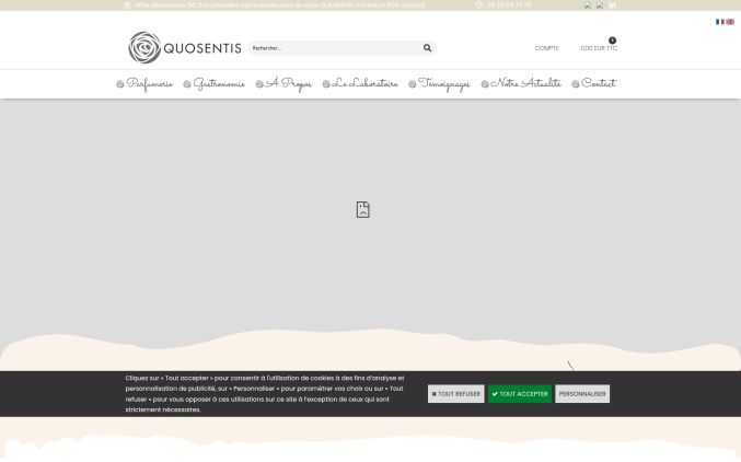 Capture de quosentis.com